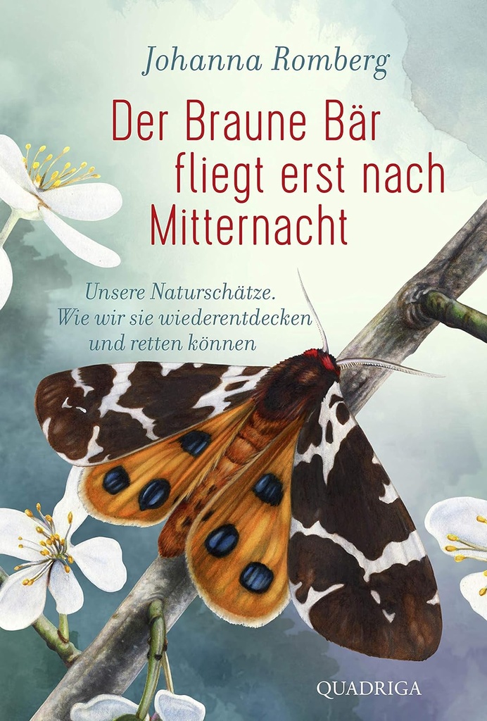 Der Braune Bär fliegt erst nach Mitternacht: Unsere Naturschätze. Wie wir sie wiederentdecken und retten können