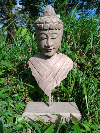 [150564] Buddhakopf-Relief