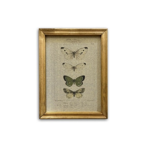 [173419] Wandbild 'Le Papillon' 33x43